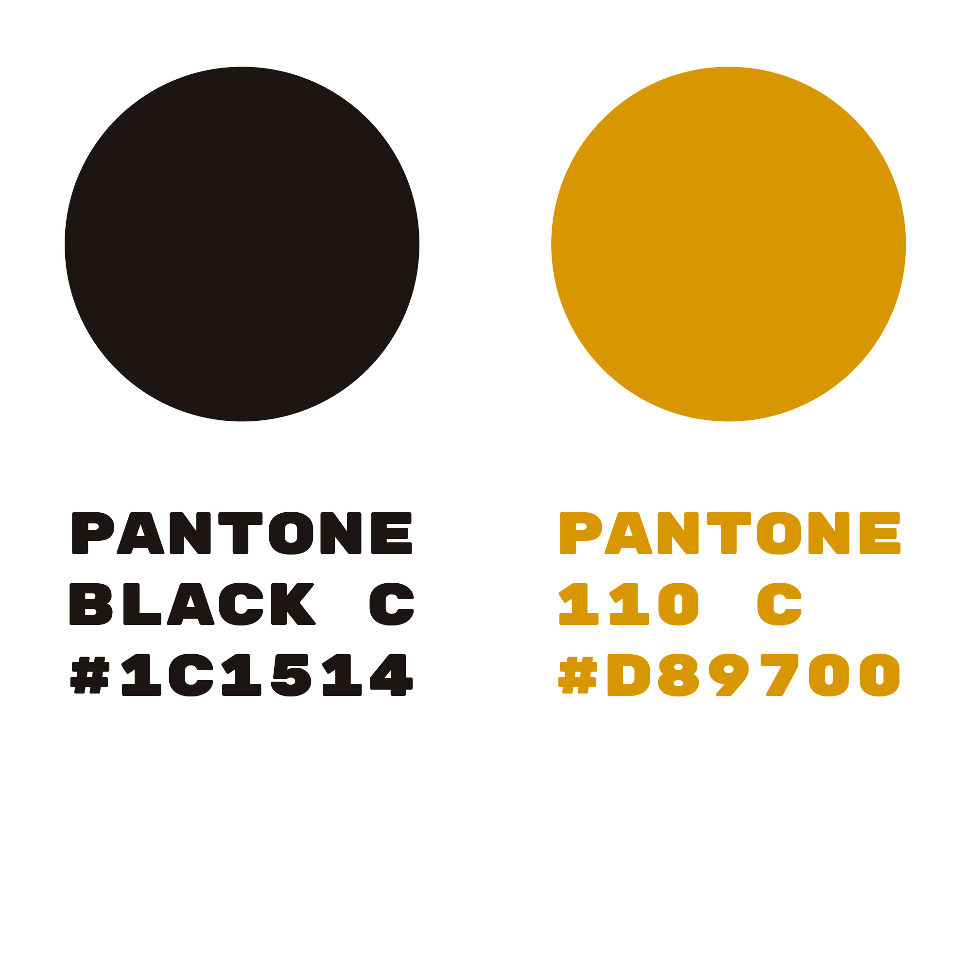 Image of the colour swatches used in the RTTR brand